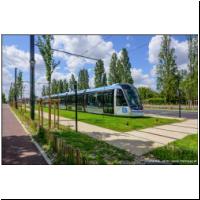 2023-07-06 T10 Jardin Parisien 1013 02.jpg